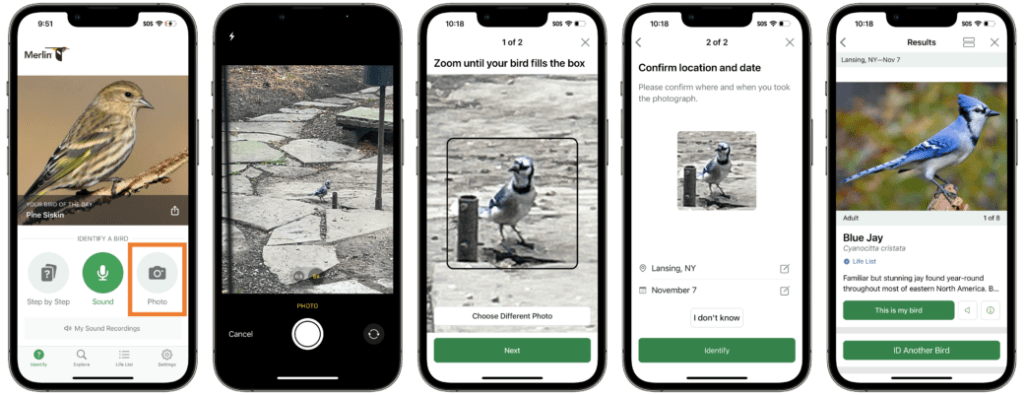 Merlin Photo ID Update