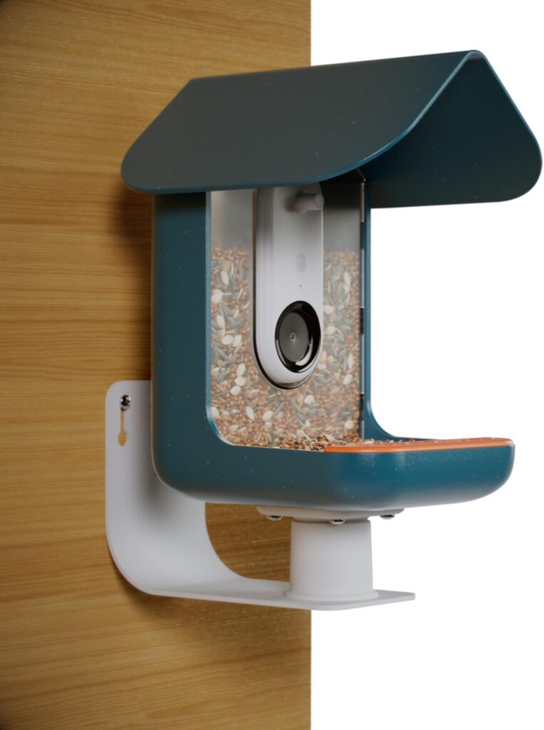 Bird Buddy Smart Feeder-10