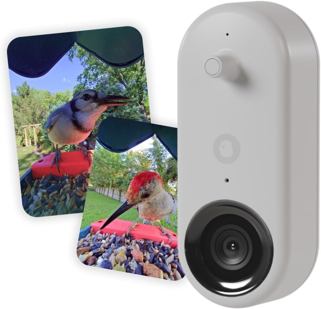 Bird Buddy Smart Feeder-9