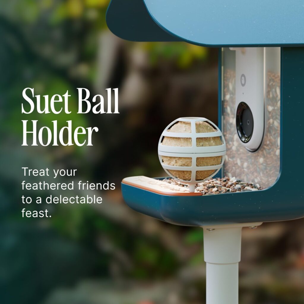 Bird Buddy Original Suet Ball Holder