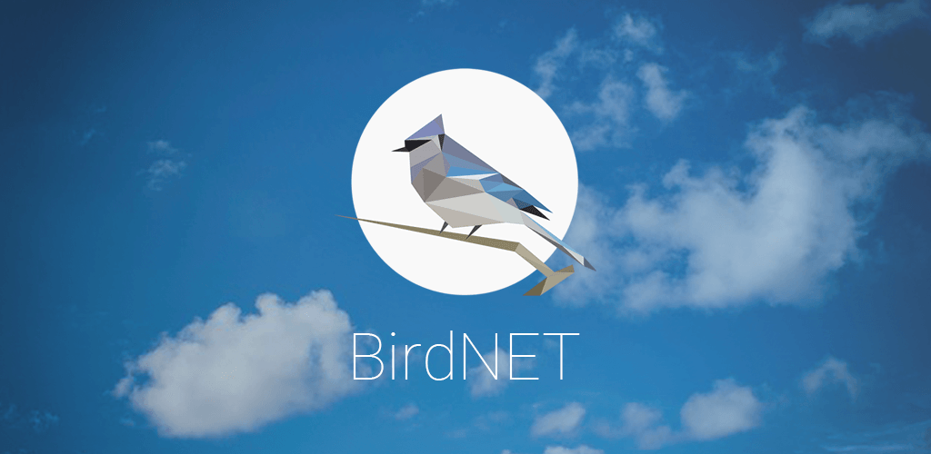 BirdNET-1