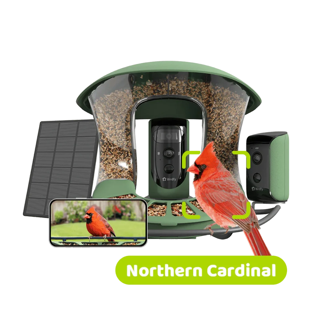 Best Birdfy Smart Bird Feeder