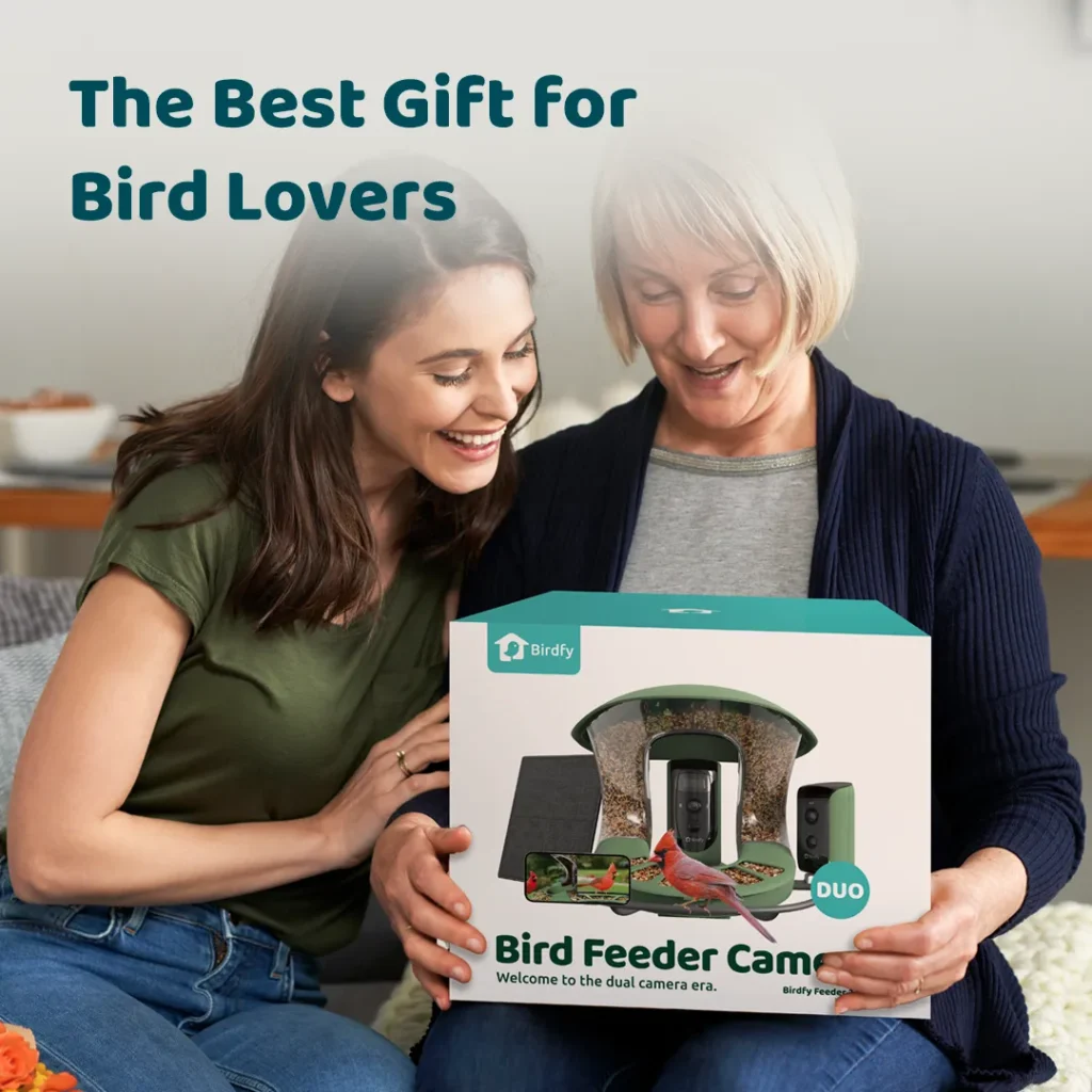 Best Birdfy Feeder