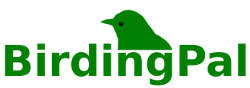 Birding Pal-logo