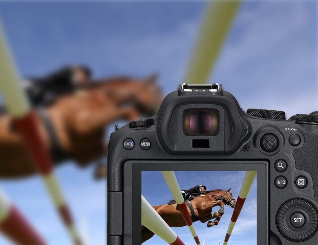 Canon EOS R6 Mark II - 6