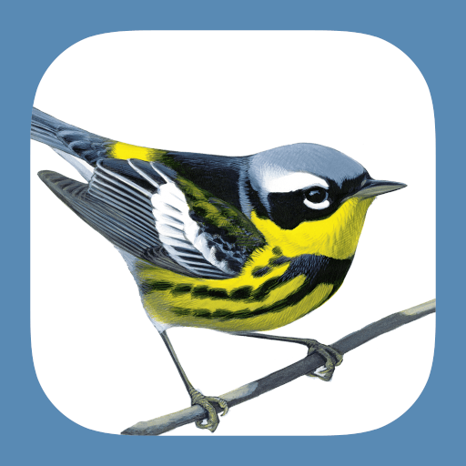Sibley Birds 2nd Edition-logo