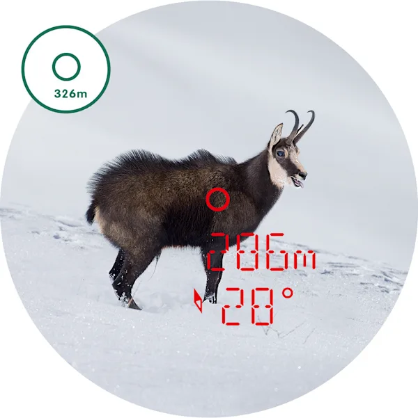 Swarovski EL Range 12x42 - 11