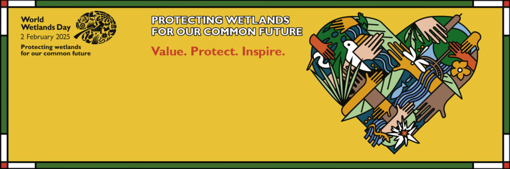 Wetlands for bird conservation