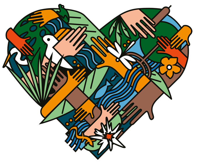 Wetlands for bird conservation