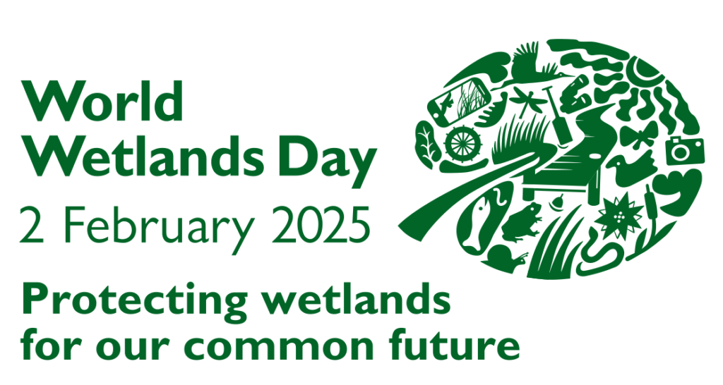 Wetlands for bird conservation