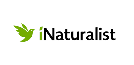 iNaturalist-logo