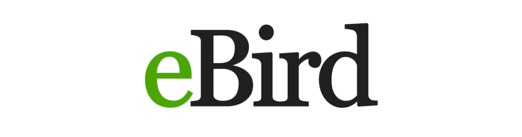 Great Backyard Bird Count 2025-1