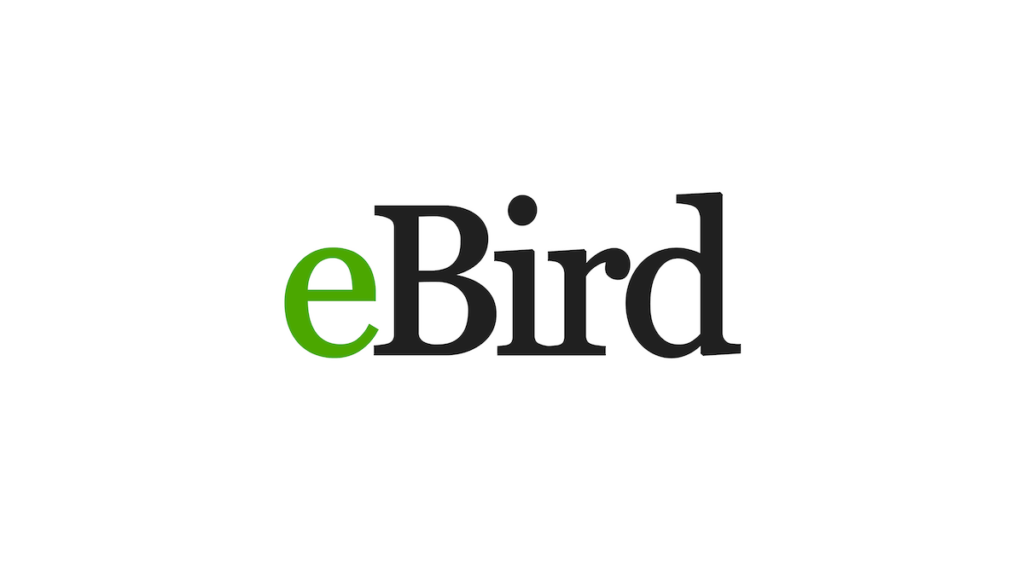 logo-ebird