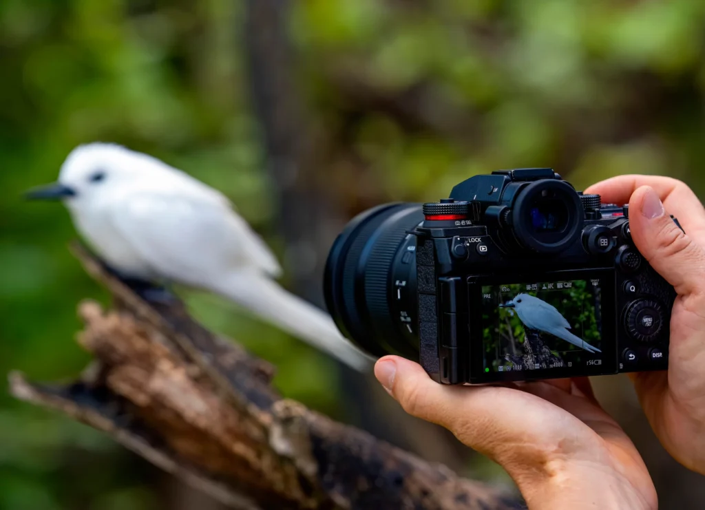 LUMIX_S1RII Mirrorless Camera