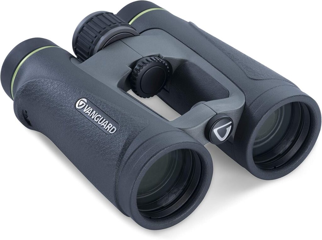 Vanguard Endeavor ED IV 8x42 - 5