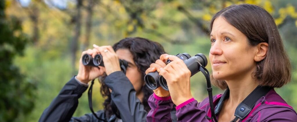 ZEISS SFL 8x40 Binoculars best for birdwatching