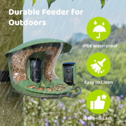 Birdfy Feeder 2 Duo
