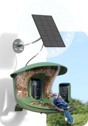 Birdfy Feeder 2 Duo