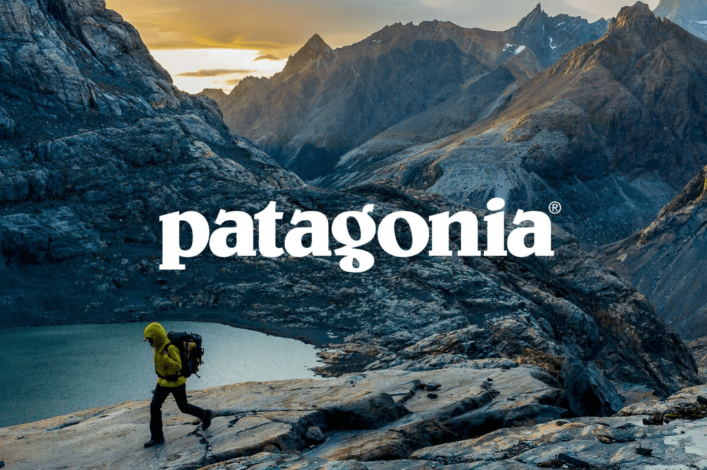 Patagonia's most popular gear
