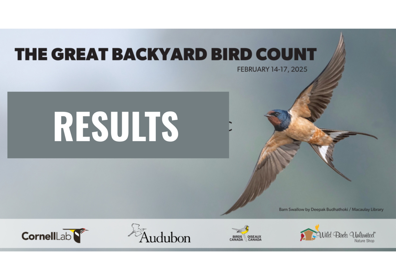 The Great Backyard Bird Count 2025: Record-Breaking Results