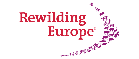 World-Rewilding-Day-Rewilding-Together-Social-Cards_EN_1