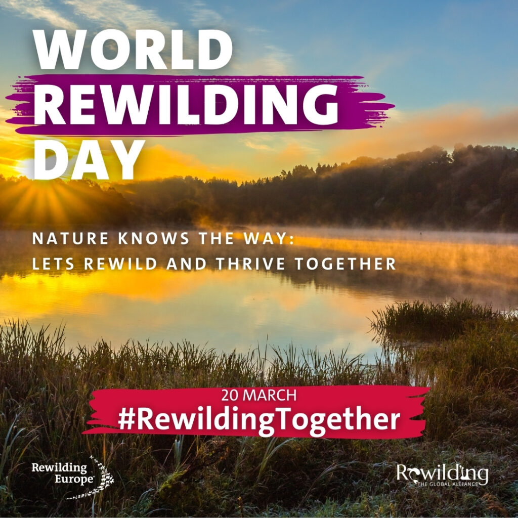 World-Rewilding-Day-Rewilding-Together-Social-Cards_EN_1
