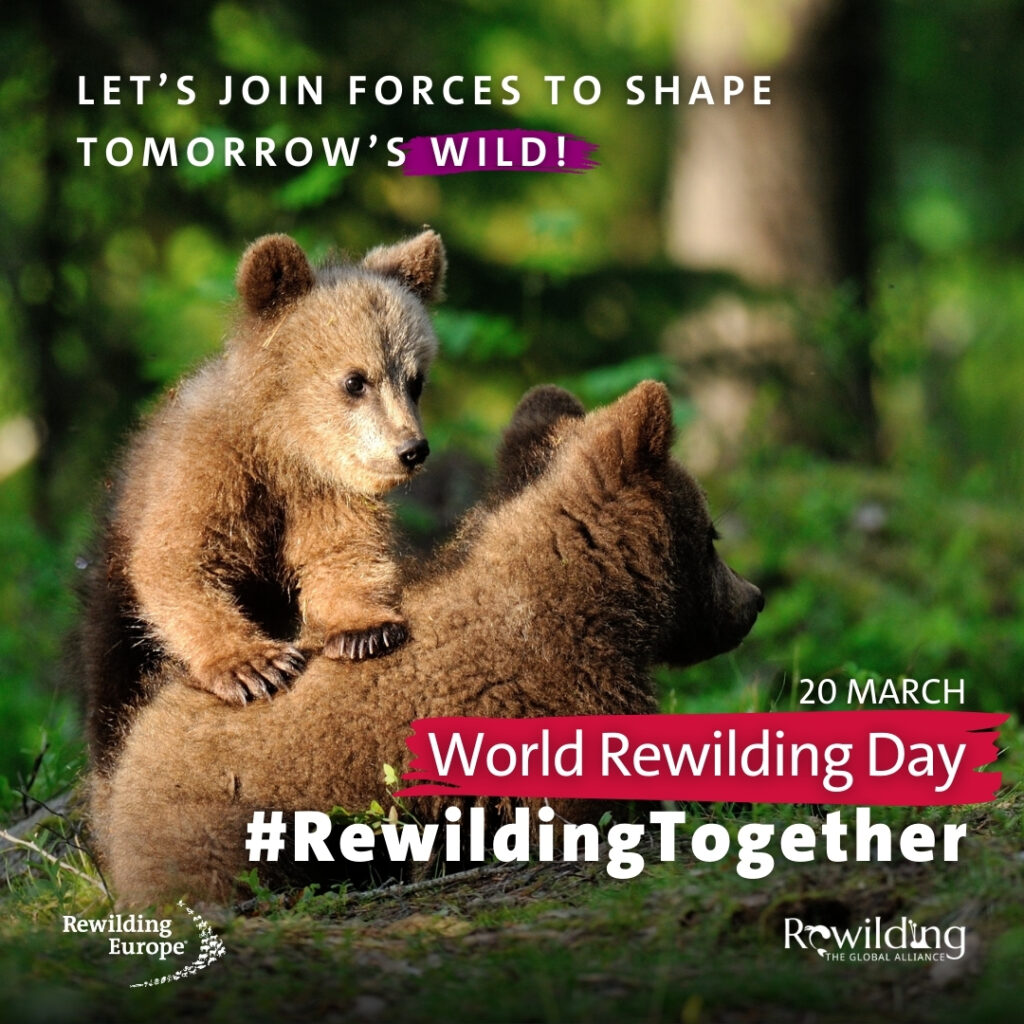 World-Rewilding-Day-Rewilding-Together-Social-Cards_EN_1