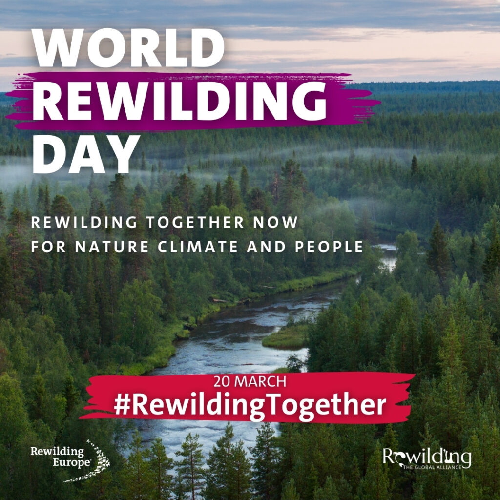 World-Rewilding-Day-Rewilding-Together-Social-Cards_EN_1