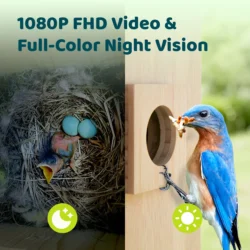 Birdfy Nest Best Smart Birdhouse