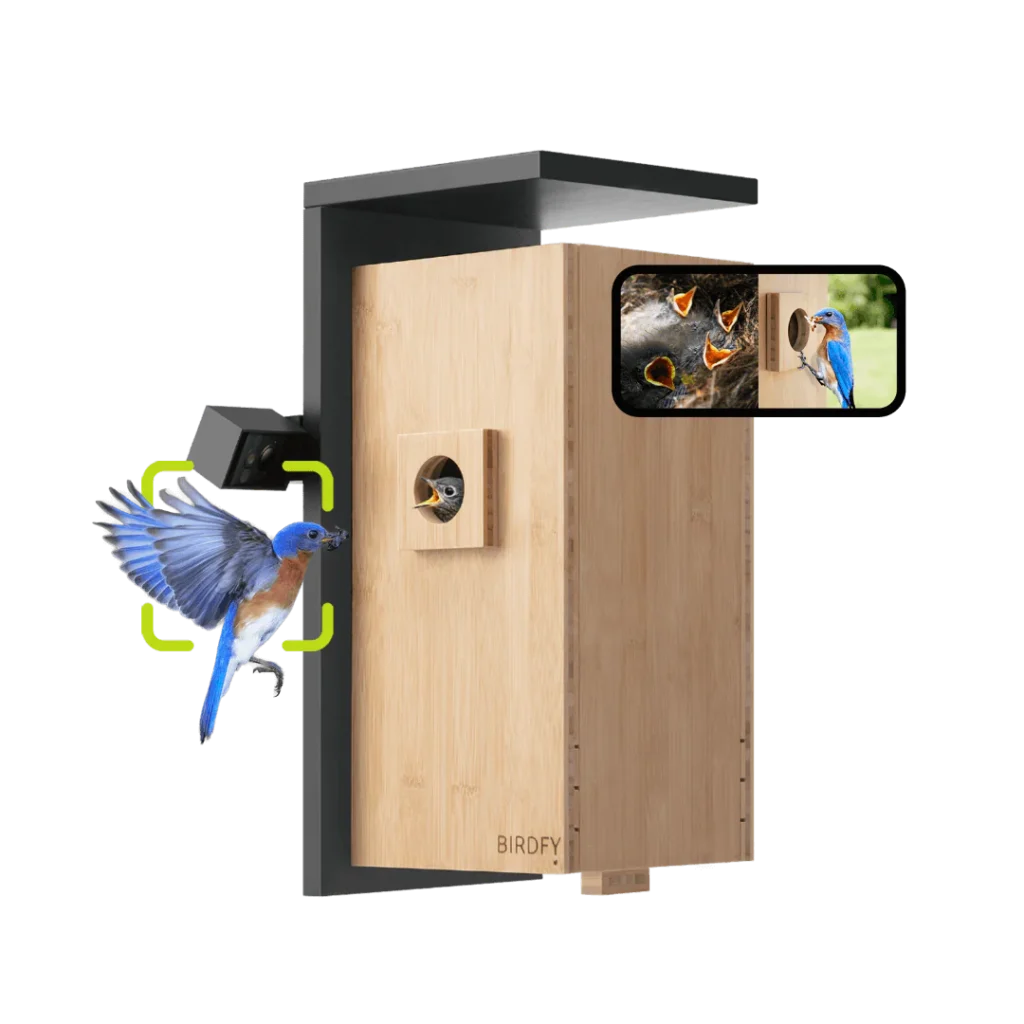 Bamboo birdhouse 