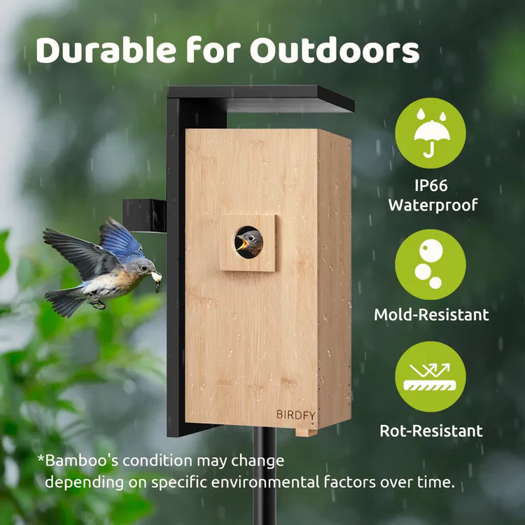 Birdfy AI birdhouse 