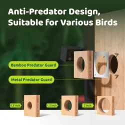 Birdfy Nest Best Smart Birdhouse