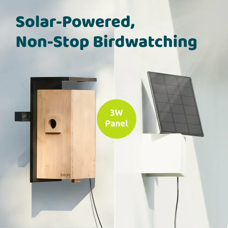 Birdfy AI birdhouse 