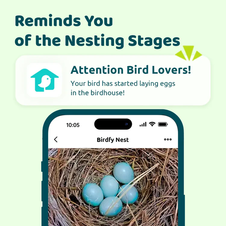 Birdfy AI birdhouse 