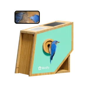 Birdfy-Nest-Polygon 1