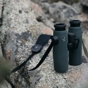 Optics and Photography