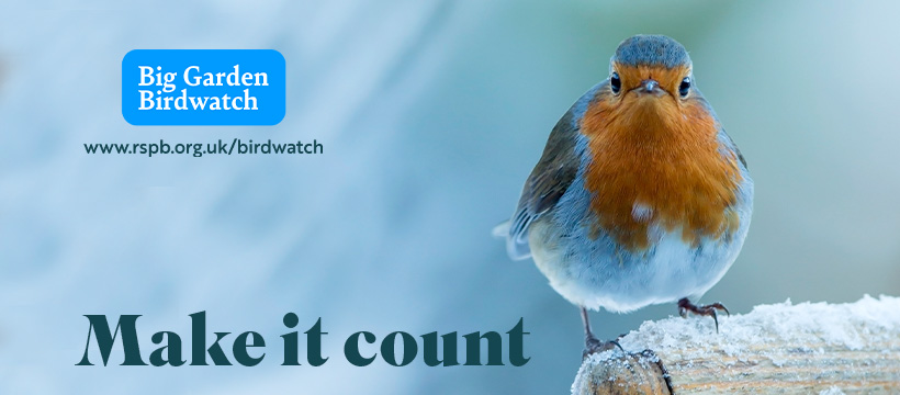 Big Garden Birdwatch 2025