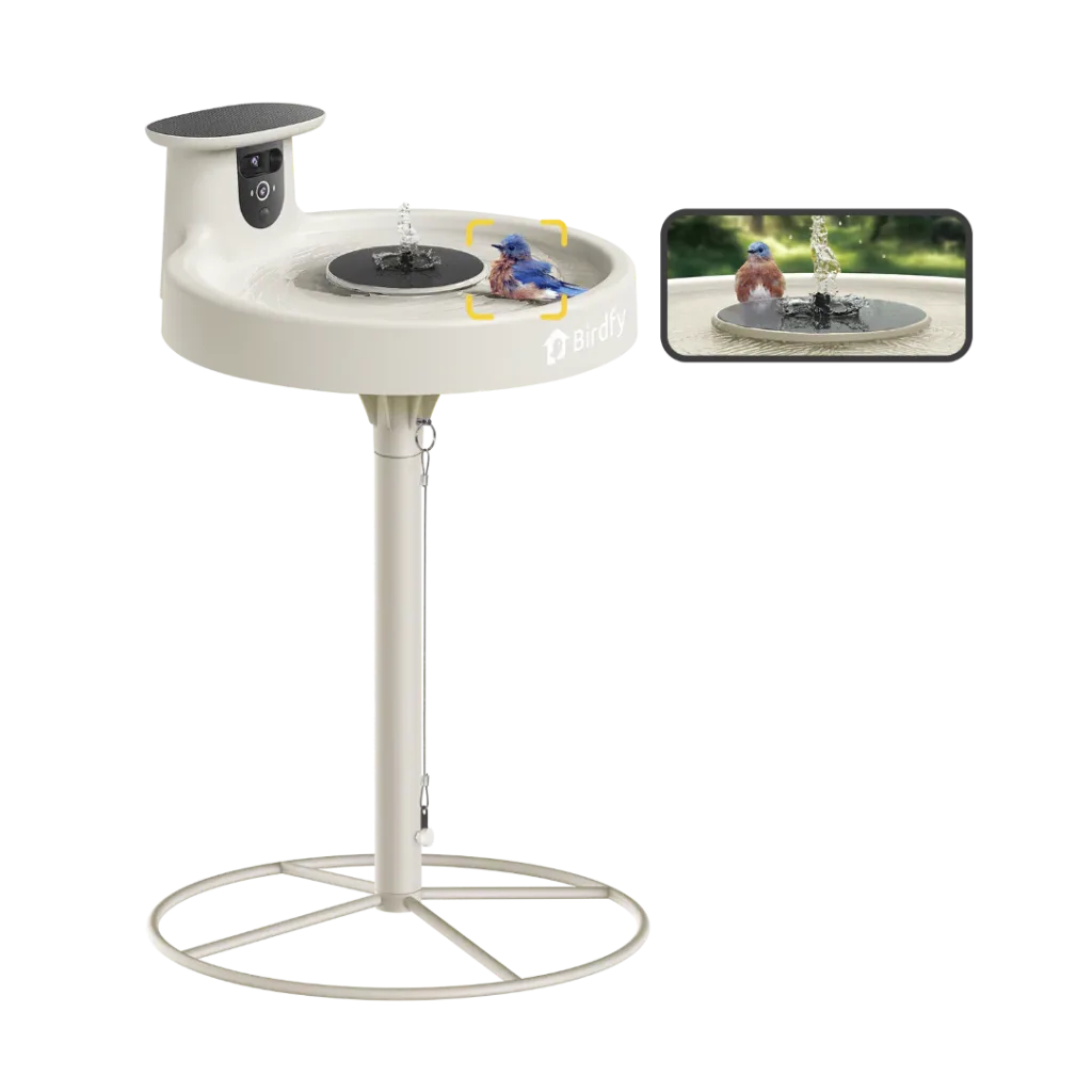 Birdfy-Birdbath-Pro-10-1024x1024 Birdfy Smart Bird Bath
