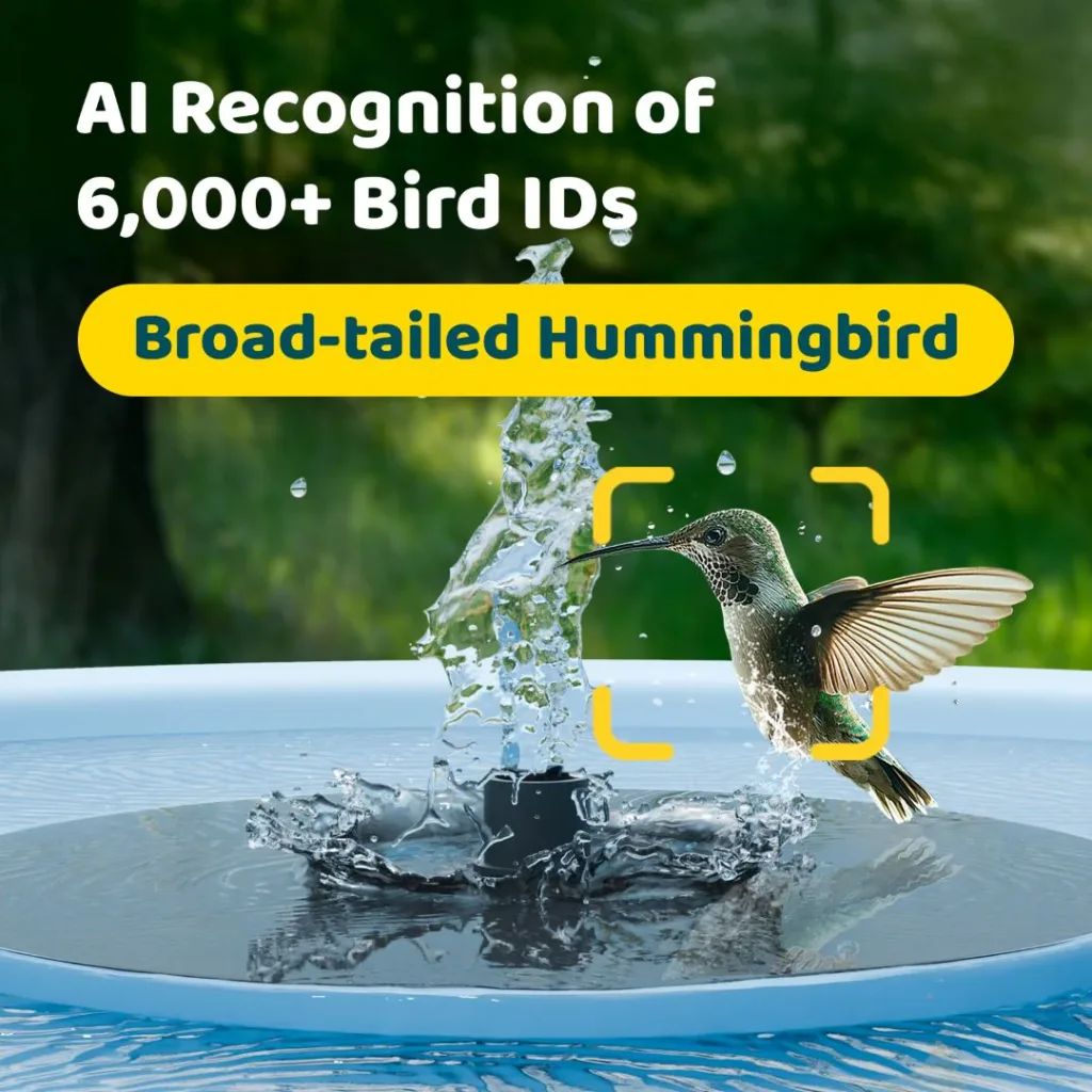 Birdfy Smart Bird Bath