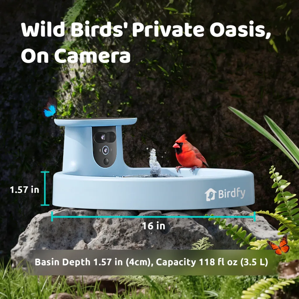 Birdfy Smart Bird Bath