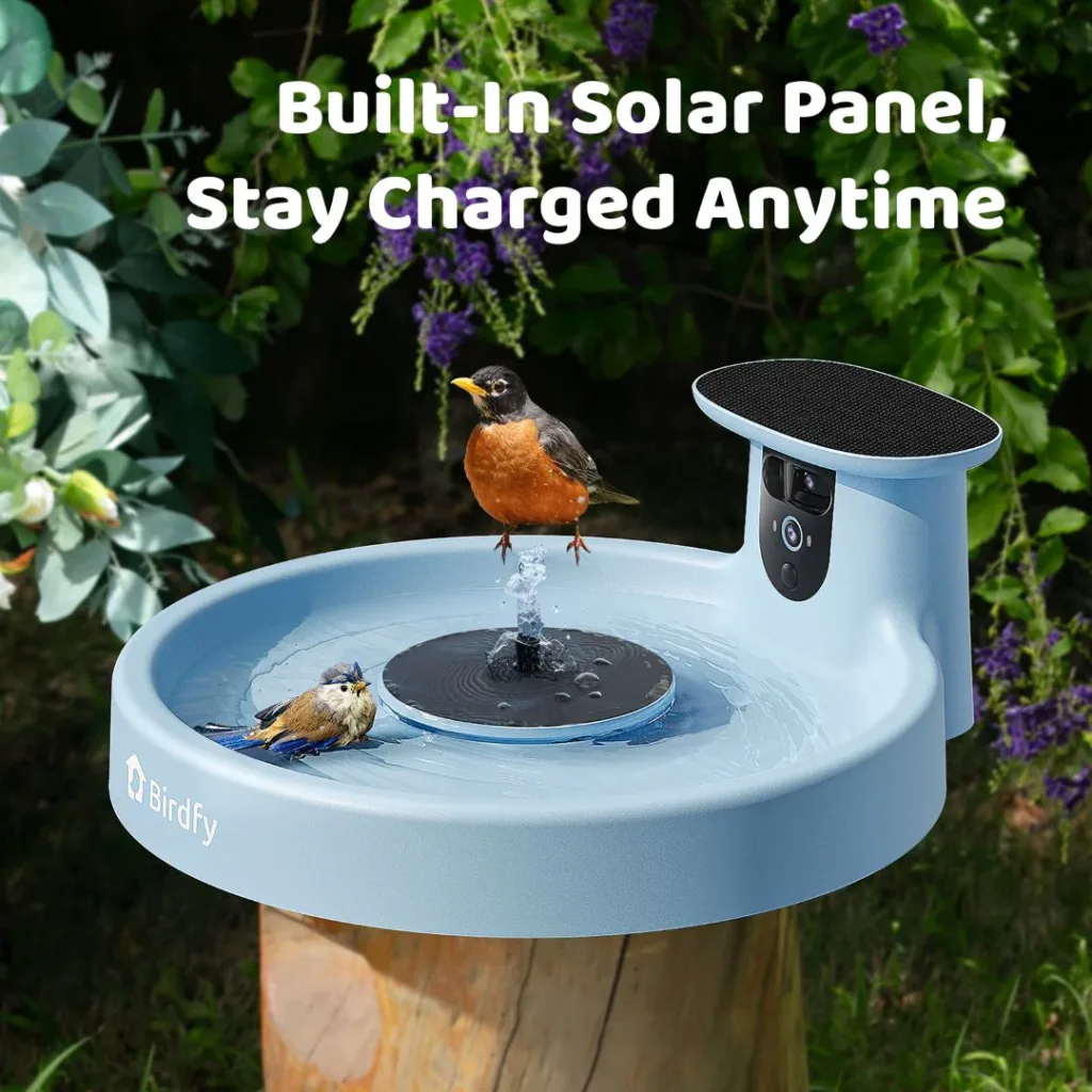 Birdfy Smart Bird Bath