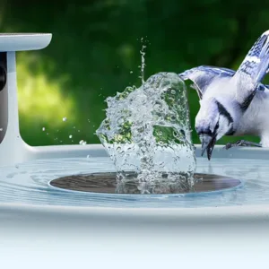 Birdfy Smart Bird Bath