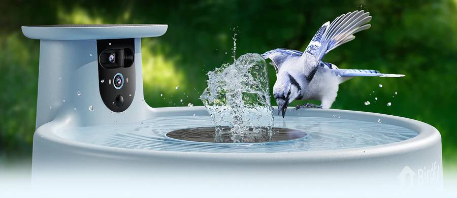 Birdfy Smart Bird Bath
