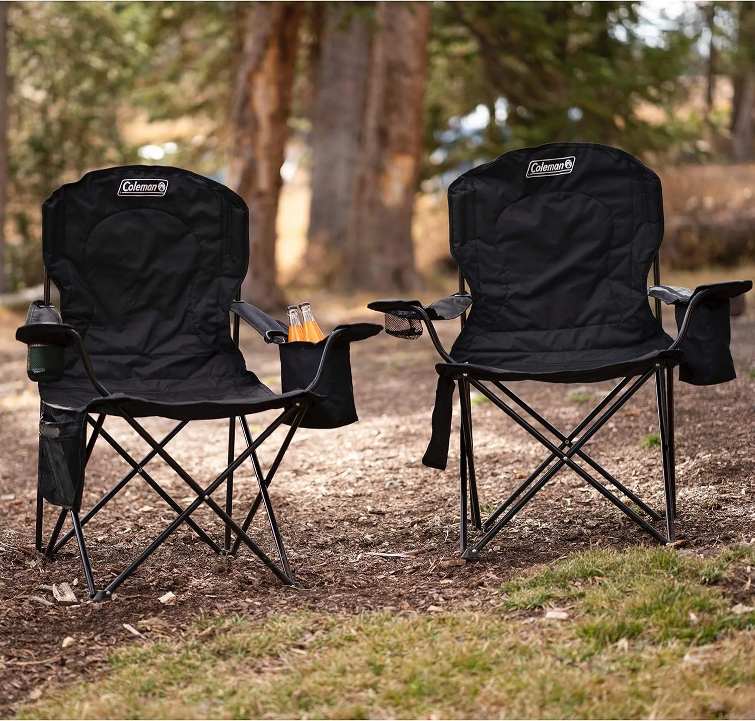 Coleman Portable Camping Chair 2