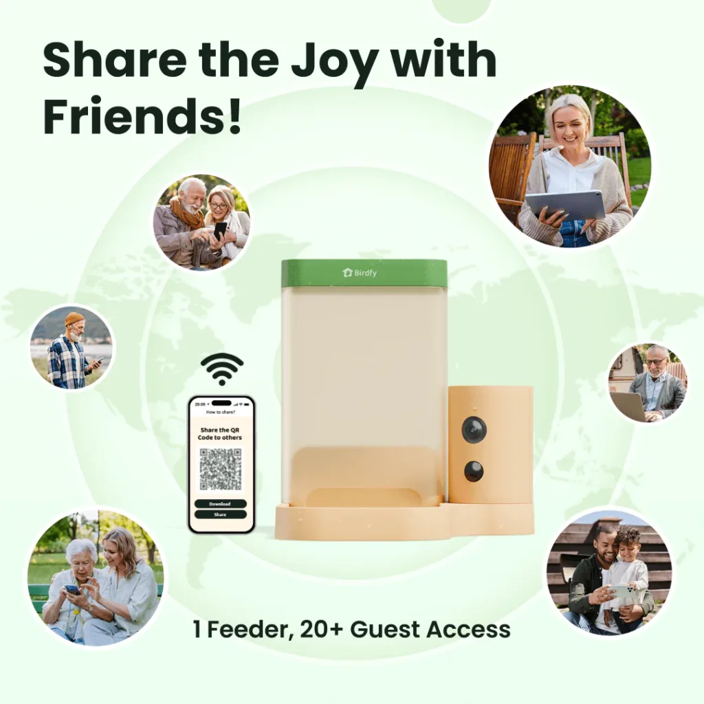 Birdfy Feeder Rooky 5