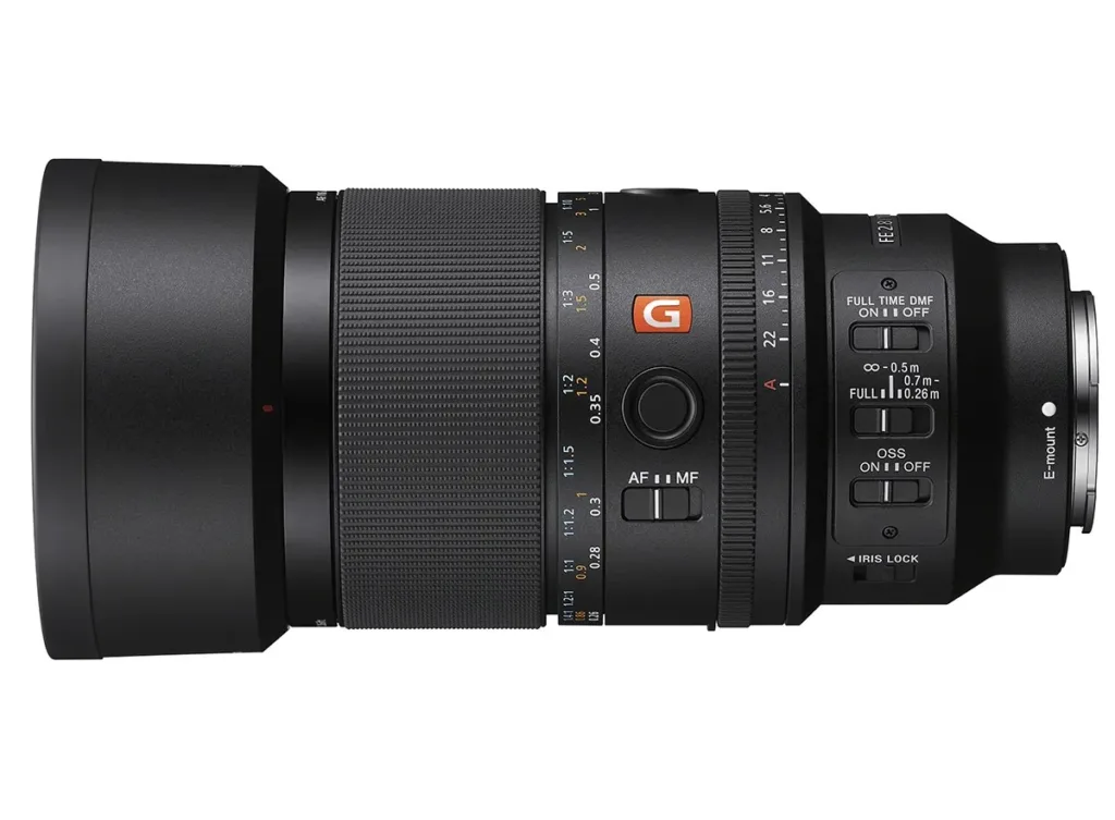 Sony FE 100mm f2 8 gm oss macro lens