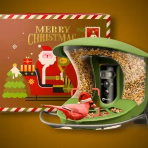 Birdfy Feeder 2 Pro Christmas Edition-Featured
