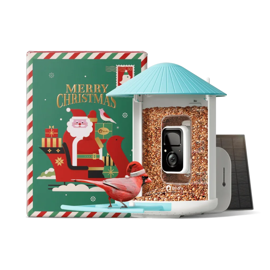 Birdfy Smart Feeder Christmas Edition