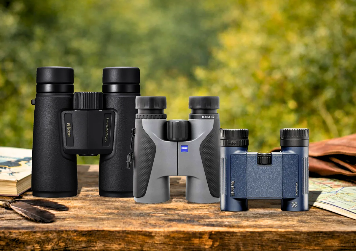 Best binoculars, full-size, compact, pocket