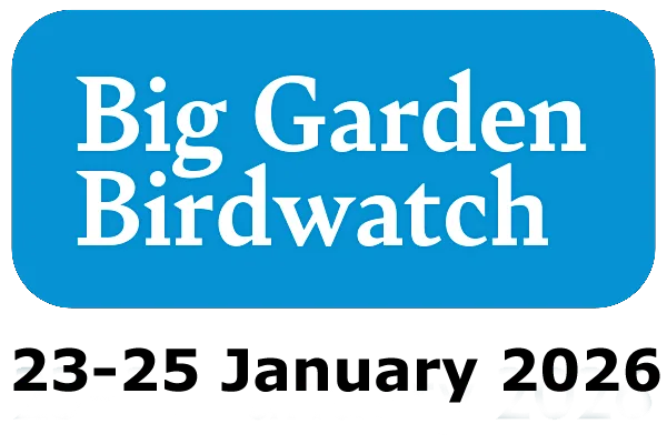 Big Garden Birdwatch 2026 Featured